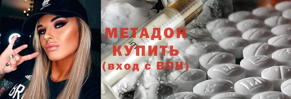 прущие грибы Аркадак