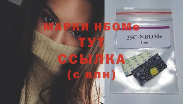 прущие грибы Аркадак