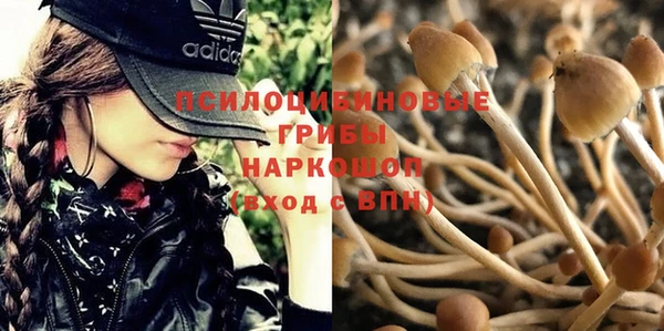 ALPHA-PVP Армянск