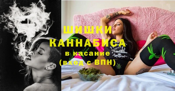 прущие грибы Аркадак