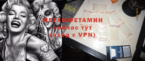 прущие грибы Аркадак