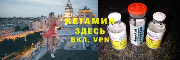прущие грибы Аркадак